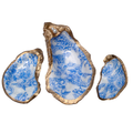 Blue Botanical Oyster Dish