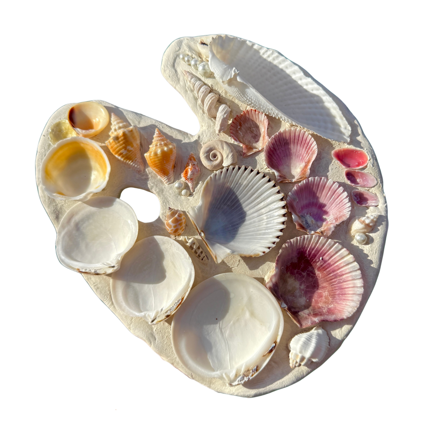 Seashell Paint Palette