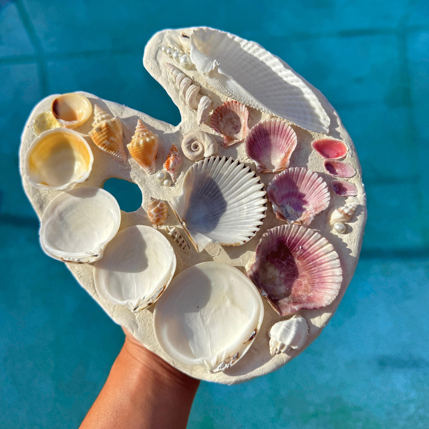 Seashell Paint Palette