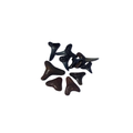 Fossilized Shark Teeth