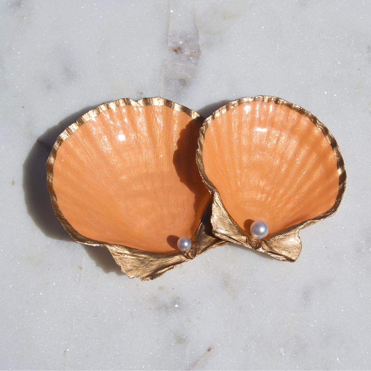 Coral Peach Scallop Dish