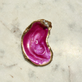 Pearlescent Hot Pink Shell Dish