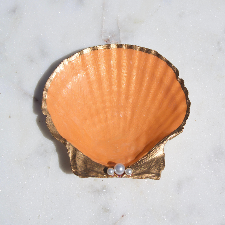 Coral Peach Scallop Dish