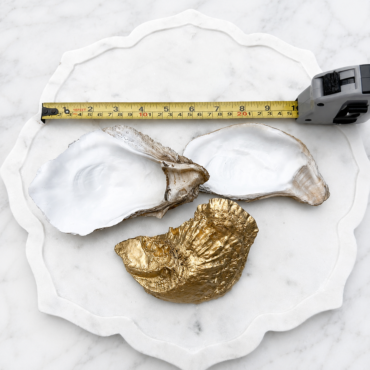 Painted and Cleaned Oyster Shells for Crafting | White & Gold | Ready for Decoupage