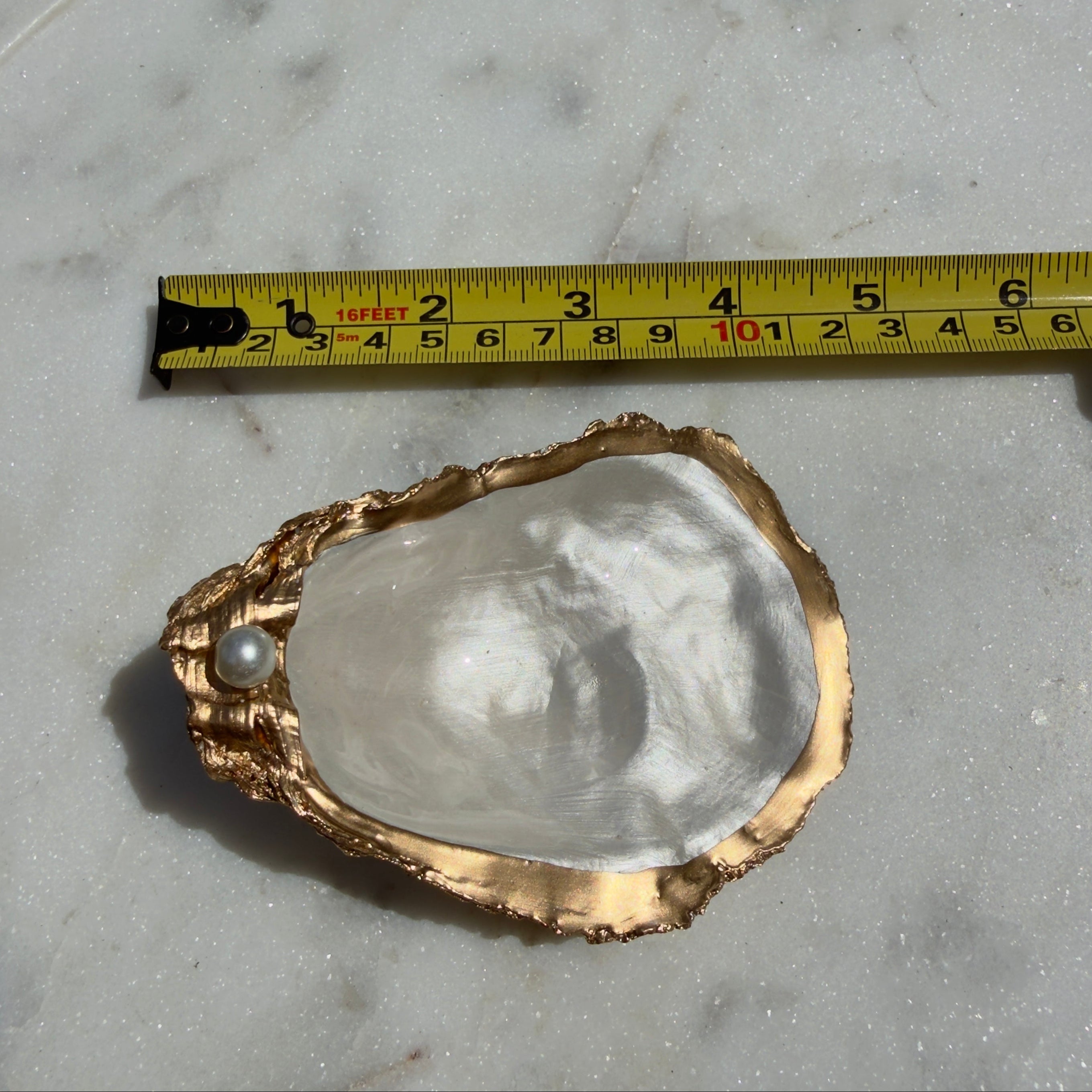 Pearlescent White Oyster Dish