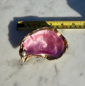 Pearlescent Pink Oyster Dish