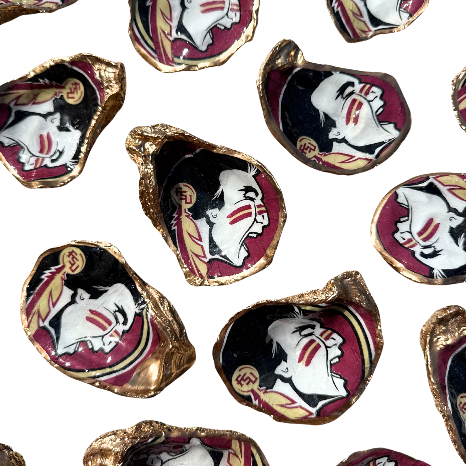 FSU Oyster shell